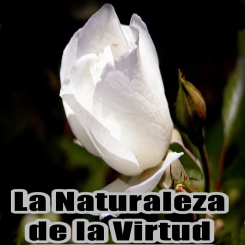 Portada de La Naturaleza de la Virtud