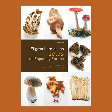 Portada de El gran libro de las setas de España y Europa