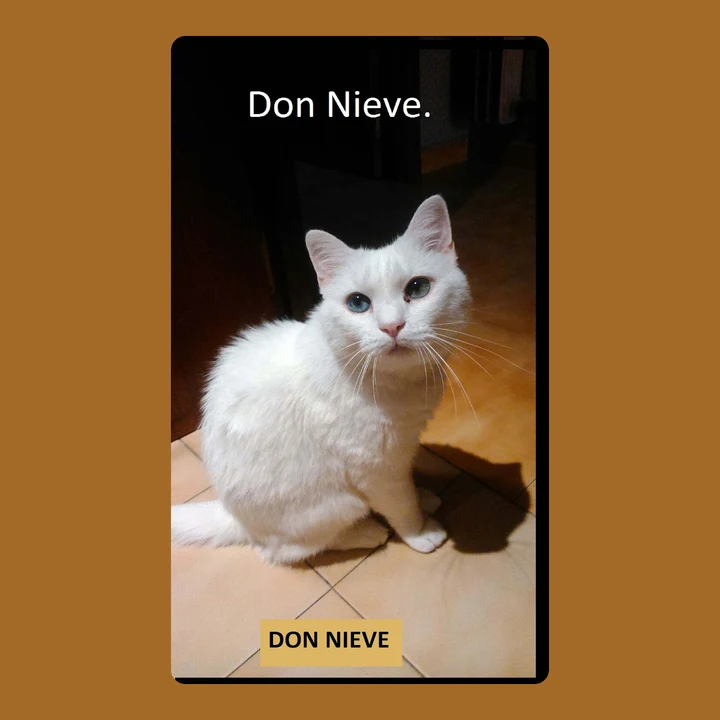 Portada de Don Nieve, de Don Nieve