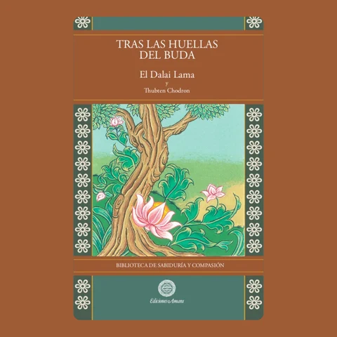 Portada de TRAS LAS HUELLAS DEL BUDA