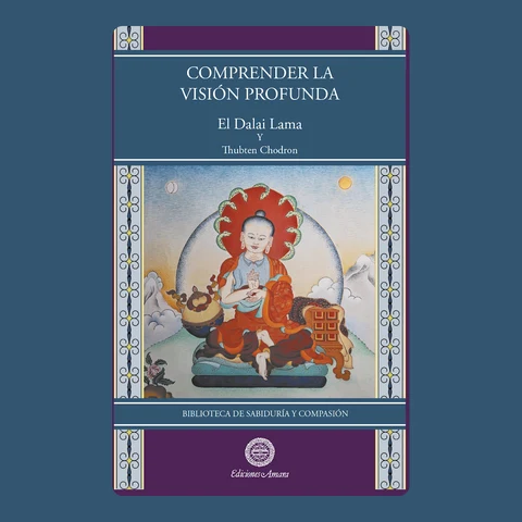 Portada de COMPRENDER LA VISIÓN PROFUNDA