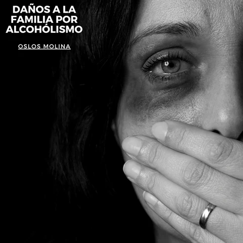 Portada de Daños a la familia por el alcohólismo
