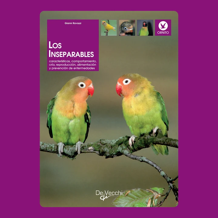 Portada de Los inseparables, de Gianni Ravazzi