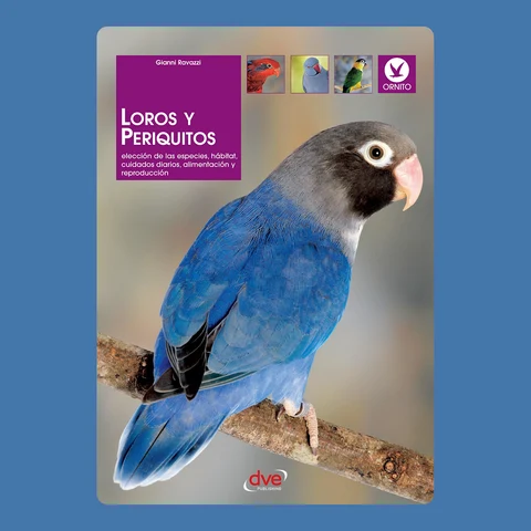 Portada de Loros y periquitos
