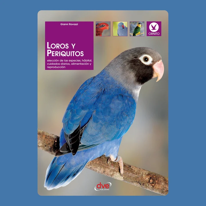 Portada de Loros y periquitos, de Gianni Ravazzi