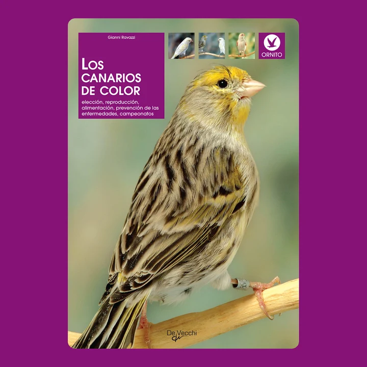 Portada de Los canarios de color: elección, reproducción, alimentación, prevención de las enfermedades, campeonatos, de Gianni Ravazzi