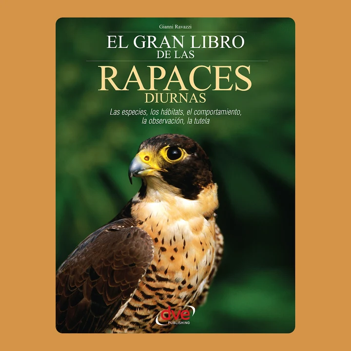 Portada de El gran libro de las rapaces diurnas, de Gianni Ravazzi