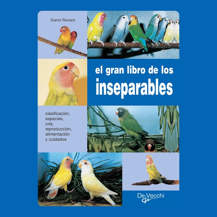 Portada de El gran libro de los inseparables, de Gianni Ravazzi