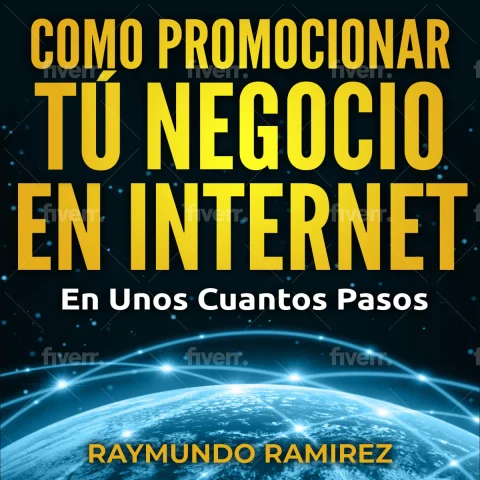 Portada de COMO PROMOCIONAR TÚ NEGOCIO EN INTERNET : En Unos Cuantos Pasos