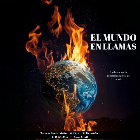 Portada de El Mundo en Llamas : Un llamado a la separación radical del mundo