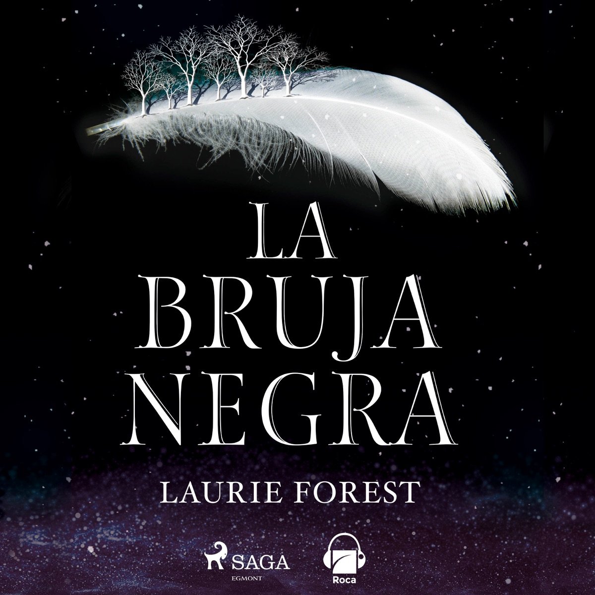 Portada de La bruja negra