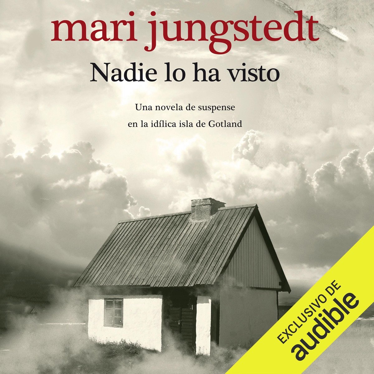 Portada de Nadie lo ha visto
